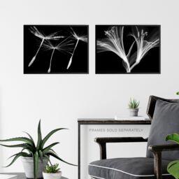 Artery8 Wall Art Print Dandelion & Lily X-Ray Set Of 2 s Bedroom Bathroom Aesthetic Black White Photo A4 - thumbnail 6