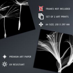 Artery8 Wall Art Print Dandelion & Lily X-Ray Set Of 2 s Bedroom Bathroom Aesthetic Black White Photo A4 - thumbnail 4