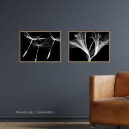 Artery8 Wall Art Print Dandelion & Lily X-Ray Set Of 2 s Bedroom Bathroom Aesthetic Black White Photo A4 - thumbnail 2