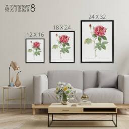 "Artery8 French Rose Illustration Redoute Vintage Black Framed Canvas Wall Art in White - Size: W12"" x H16""" - thumbnail 4