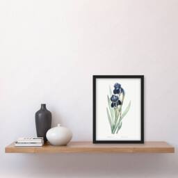 "Artery8 Bearded Iris Botanical Redoute Vintage Framed Wall Art Print in White - Size: W12"" x H16""" - thumbnail 4