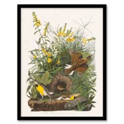 Artery8 Audubon Framed Wall Art Meadow Lark Bird & Yellow False Foxglove in White - Size: A4 - thumbnail 1