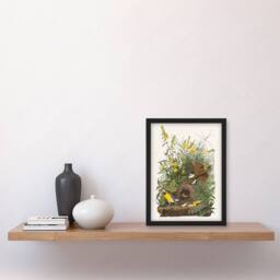 Artery8 Audubon Framed Wall Art Meadow Lark Bird & Yellow False Foxglove in White - Size: A4 - thumbnail 2