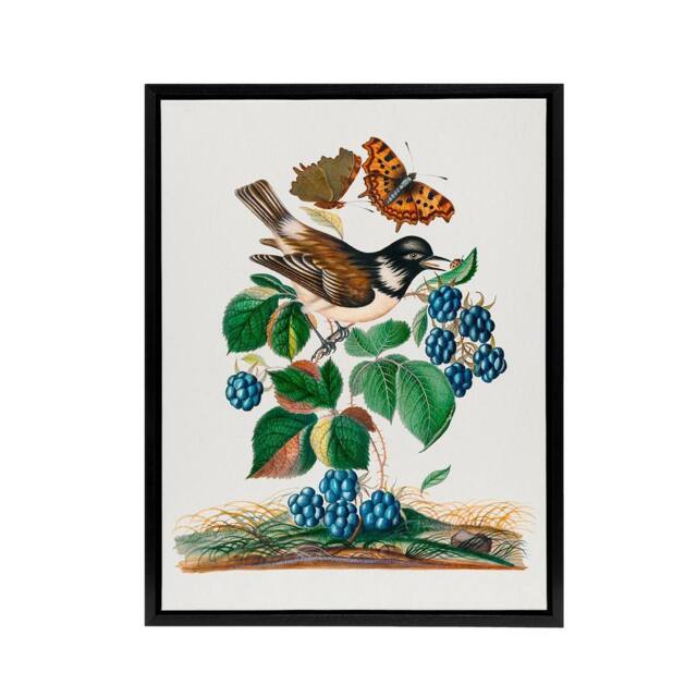 "Artery8 Bramble Rubus Starling & Butterflies Bolton Framed Canvas Wall Art - Size: W12"" x H16""" - image 1