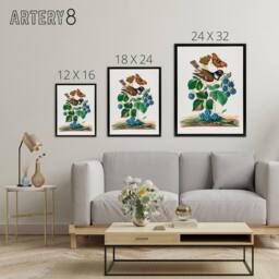 "Artery8 Bramble Rubus Starling & Butterflies Bolton Framed Canvas Wall Art - Size: W12"" x H16""" - thumbnail 4