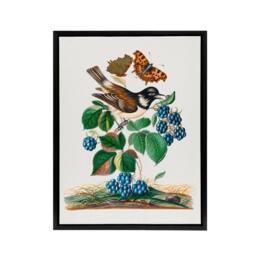 "Artery8 Bramble Rubus Starling & Butterflies Bolton Framed Canvas Wall Art - Size: W12"" x H16""" - thumbnail 1
