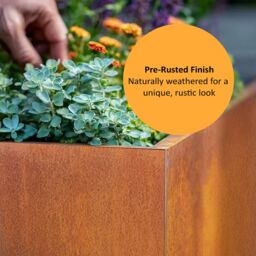 Nicoman Metal Planter Pre-Rusted Corten Steel Cube Planter - 50cm x 50cm in Bronze - Size: 50 cm x 50 cm - thumbnail 8
