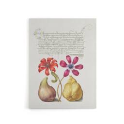 "Artery8 Poppy Anemone Fig & Quince Calligraphy Canvas Wall Art Print in White - Size: W12"" x H16""" - thumbnail 1
