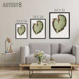 "Artery8 AF Lydon B Fawcett Begonia Rex Grandis Variety Leaf Framed Canvas Art in White - Size: W12"" x H16""" - thumbnail 4