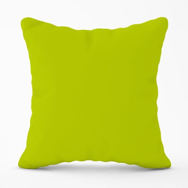 Warren Reed - Designer Lime Outdoor Cushion in Green - Size: 60 cm x 60 cm - image 1