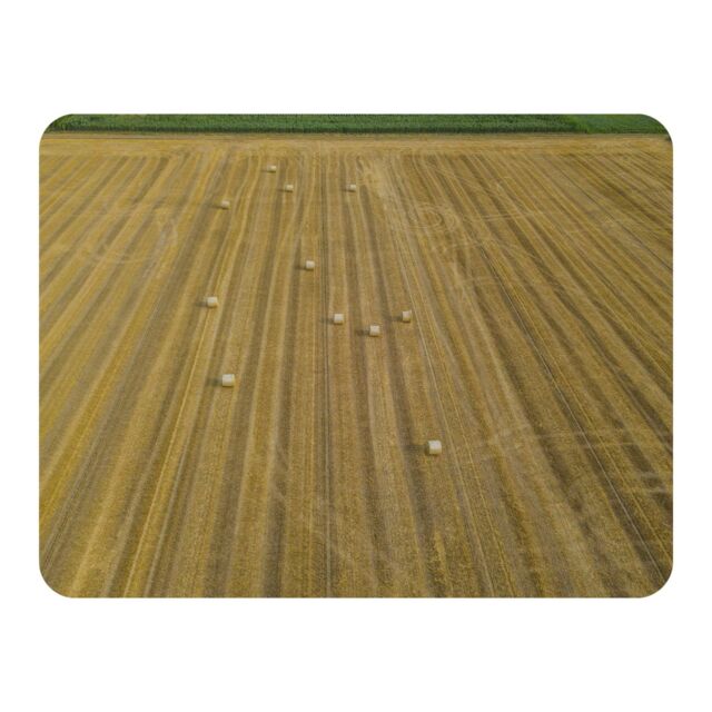 Benjamin Tate Design straw bales of wheat lying on harvested field Designer Blanket in Natural - Size: 120 cm x 150 cm - image 1