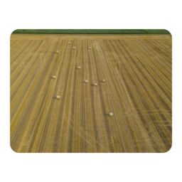 Benjamin Tate Design straw bales of wheat lying on harvested field Designer Blanket in Natural - Size: 120 cm x 150 cm - thumbnail 1