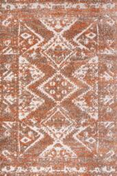 Distressed Terracotta Outdoor, Garden and Patio Area Rug