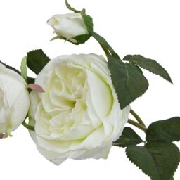 Hill Interiors The Natural Garden Collection Rose Artificial Flower in White - thumbnail 3