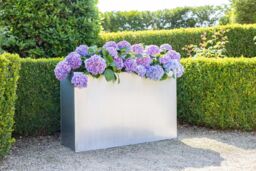 Primrose Large Zinc Tall Trough Planter with Insert in Silver 89cm in Metallic Silver - thumbnail 8