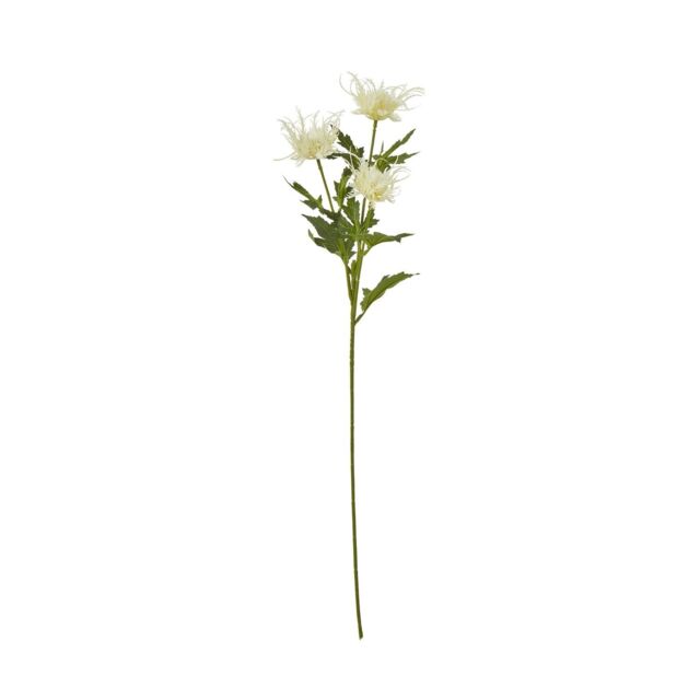 Hill Interiors Sea Holly Spray Artificial Flower in Cream - image 1