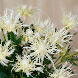 Hill Interiors Sea Holly Spray Artificial Flower in Cream - thumbnail 4