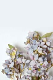 Homescapes Blue Orchard Blossom Flower Single Stem 64 cm - thumbnail 3
