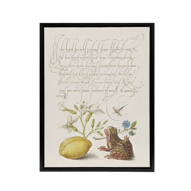"Artery8 Gillyflower Almond & Frog Calligraphy Framed Canvas Wall Art Print in White - Size: W12"" x H16""" - image 1
