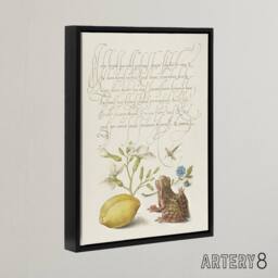 "Artery8 Gillyflower Almond & Frog Calligraphy Framed Canvas Wall Art Print in White - Size: W12"" x H16""" - thumbnail 2