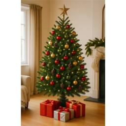 Clifton Premier Norway Spruce Xmas Tree - Fresh Cut - 1.75m - 2.0m (5.75 - 6.5ft) in Green