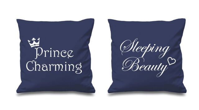 60 SECOND MAKEOVER Prince Charming Sleeping Beauty Cushion Covers in Navy - Size: 40 cm x 40 cm