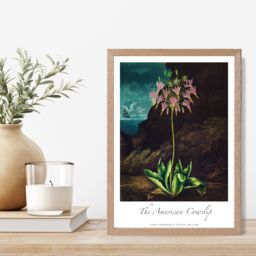 ARTZE Vintage Floral Exhibition - Cowslip Plant Framed Print SIZE: A3 with Oak Frame in Pink - thumbnail 2