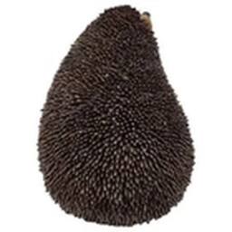 EONLION Cute Hedgehog Garden Animal Decoration Statue Lawn Ornament in Brown - thumbnail 4