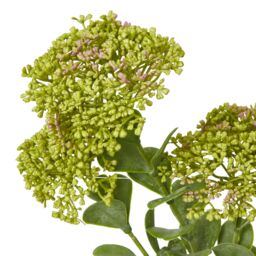 Hill Interiors Sedum Spray Artificial Flower in Green - thumbnail 2