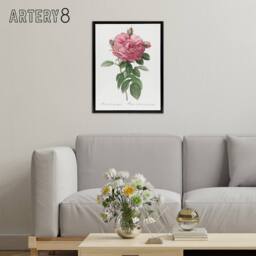 "Artery8 Giant Gallica Rose Floral Redoute Vintage Black Framed Canvas Wall Art in White - Size: W12"" x H16""" - thumbnail 3