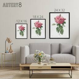 "Artery8 Giant Gallica Rose Floral Redoute Vintage Black Framed Canvas Wall Art in White - Size: W12"" x H16""" - thumbnail 4