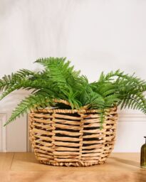 Dibor Vintage Style Large Open Weave Wicker Scalloped Planter Basket (Dia) 30cm, (H) 22cm in Natural