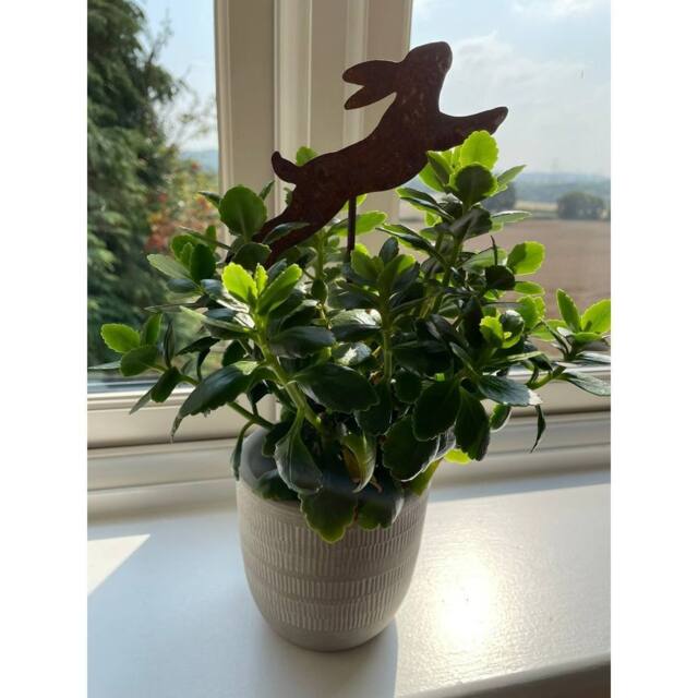 Poppyforge Running Hare Pot Stake (Pack of 3) - Bare Metal/Ready to Rust - H10 cm in Brown - image 1