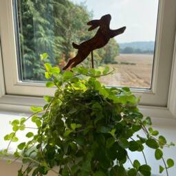 Poppyforge Running Hare Pot Stake (Pack of 3) - Bare Metal/Ready to Rust - H10 cm in Brown - thumbnail 4