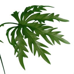 Leaf Pack of 6 x 85cm Artificial Foliage Stem in Green - Size: 6 x 85 cm - thumbnail 4