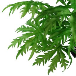 Leaf Pack of 6 x 85cm Artificial Foliage Stem in Green - Size: 6 x 85 cm - thumbnail 6