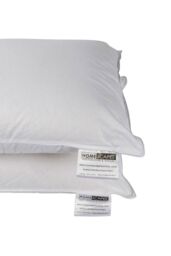 Homescapes Pure Mulberry Silk Blend Pillow Pair with 100% Cotton Casing in White - thumbnail 5