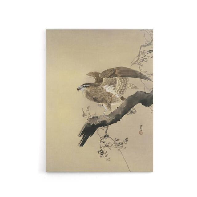 "Artery8 Hawk Bird of Prey on Tree Branch Canvas Wall Art Print Koson in Beige - Size: W18"" x H24""" - image 1