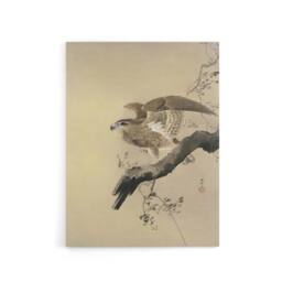 "Artery8 Hawk Bird of Prey on Tree Branch Canvas Wall Art Print Koson in Beige - Size: W18"" x H24""" - thumbnail 1