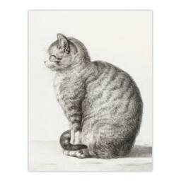 Artery8 Jean Bernard Framed Wall Art Print Sitting Smiling Cat Pencil Drawing in White - Size: A4 - thumbnail 3