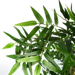 Leaf Artificial Oriental Bamboo Plant 150cm - Realistic plant by Botanik in Green - thumbnail 5
