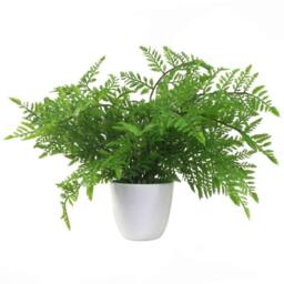 Leaf 30cm Artificial Potted Southern Wood Fern in Green