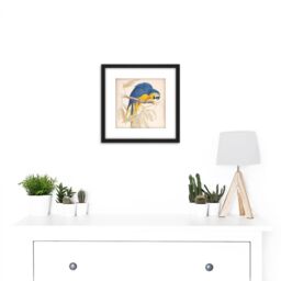 Artery8 Blue & Yellow Macaw 8X8 Inch Square Wooden Framed Wall Art Print Picture with Mount in Black - thumbnail 2