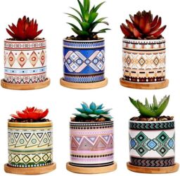 simpa 6PC Natural Pattern Ceramic Plant Pots with Bamboo Base - thumbnail 1