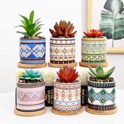 simpa 6PC Natural Pattern Ceramic Plant Pots with Bamboo Base - thumbnail 2