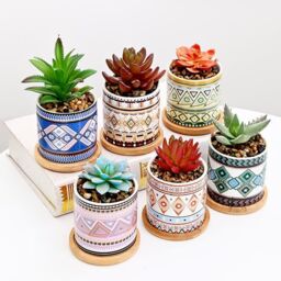 simpa 6PC Natural Pattern Ceramic Plant Pots with Bamboo Base - thumbnail 4