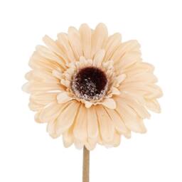 Lemon Pavilion Furniture and Decor Cream Gerbera Stem Artificial Flower - Plastic - L11xW11xH53 cm Cream - thumbnail 2
