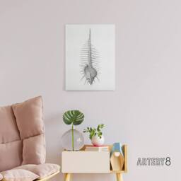 "Artery8 Murex Shell Seashell Drawing Haeckel Botanical Canvas Wall Art in White - Size: W18"" x H24""" - thumbnail 3