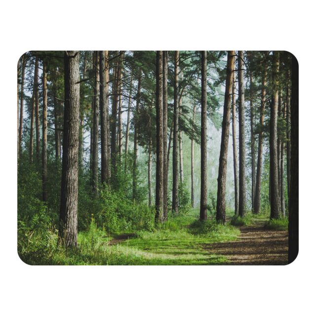 Benjamin Tate Design Beautiful summer forest with different trees Designer Blanket in Natural - Size: 120 cm x 150 cm - image 1