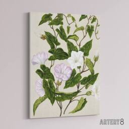 "Artery8 New Zealand Bindweed Wildflowers Featon Canvas Wall Art Print in Beige - Size: W12"" x H16""" - thumbnail 2